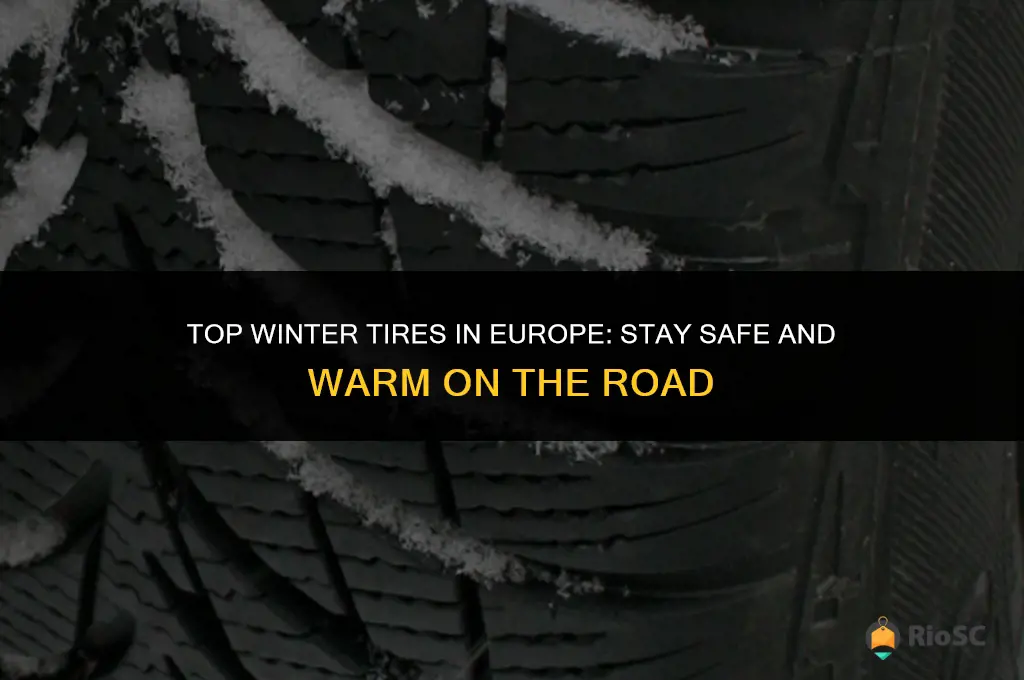 best winter tires europe