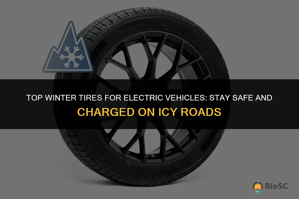 best winter tires ev
