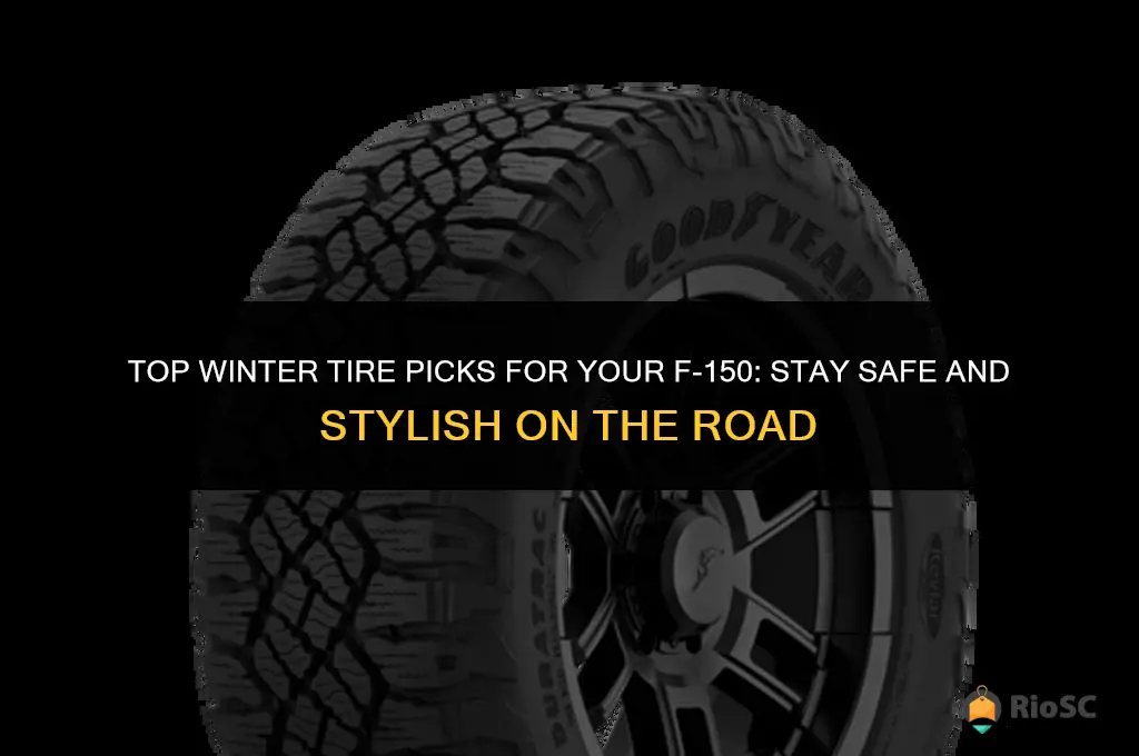 best winter tires f150