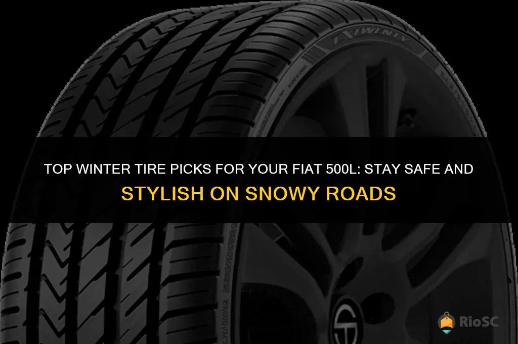 best winter tires fiat 500l