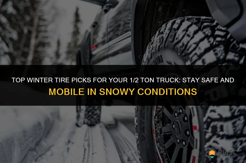 best winter tires for 1 2 ton truck