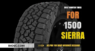 Top Winter Tire Picks for Your 1500 Sierra: Stay Safe and Warm on the Road