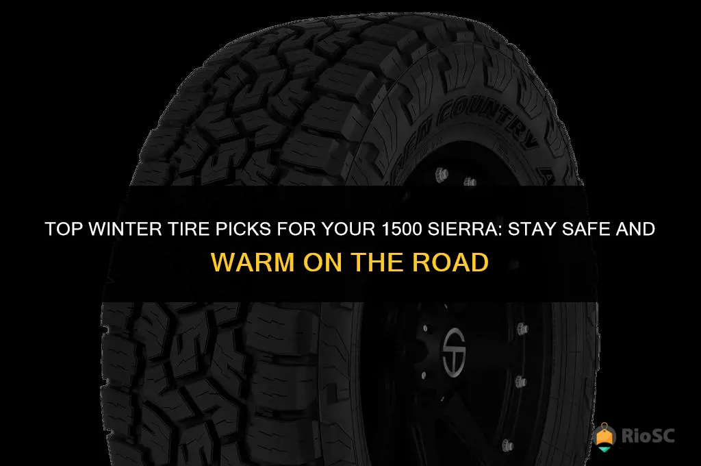 best winter tires for 1500 sierra