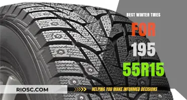 Top Picks for Winter Tires: 195/55R15 Size