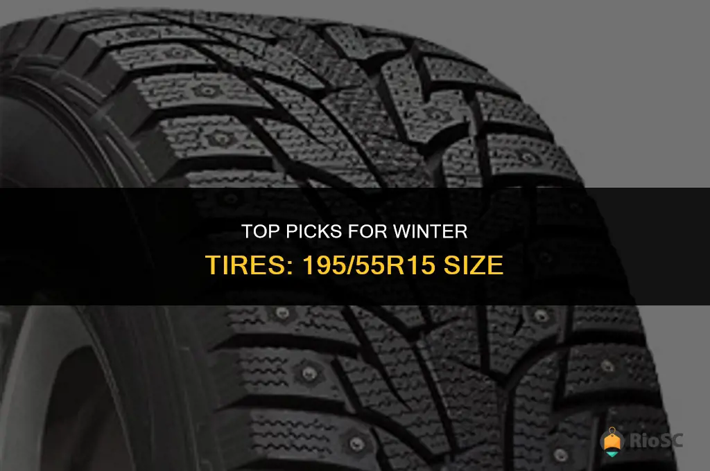 best winter tires for 195 55r15