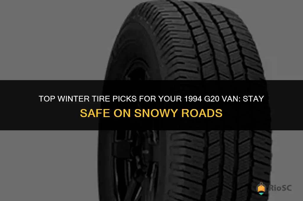 best winter tires for 1994 g20 van