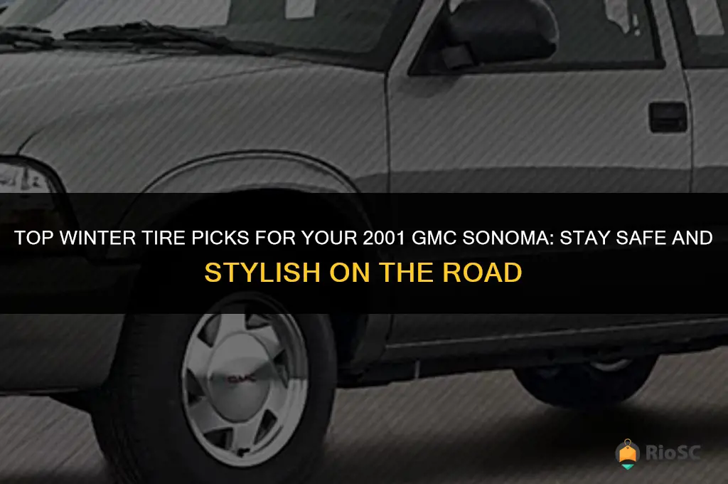 best winter tires for 2001 gmc sonoma