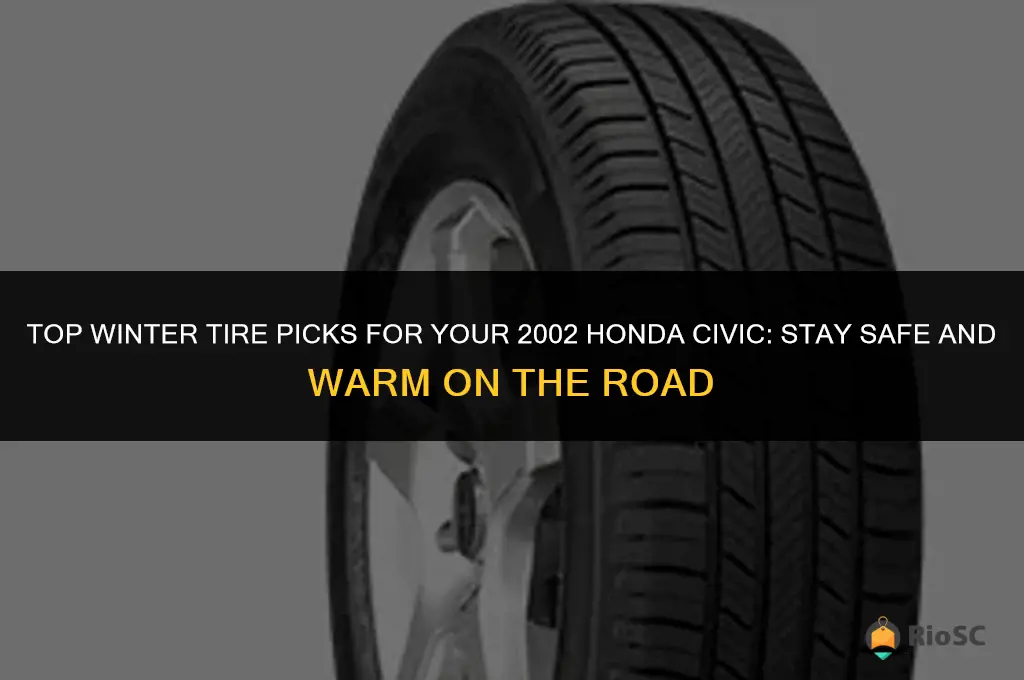 best winter tires for 2002 honda civic