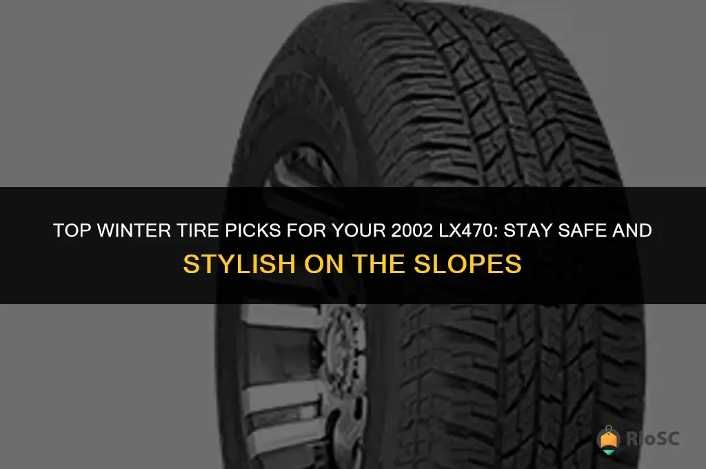 best winter tires for 2002 lx470
