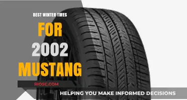 Top Winter Tire Picks for Your 2002 Mustang: Stay Safe and Stylish on the Slippery Roads
