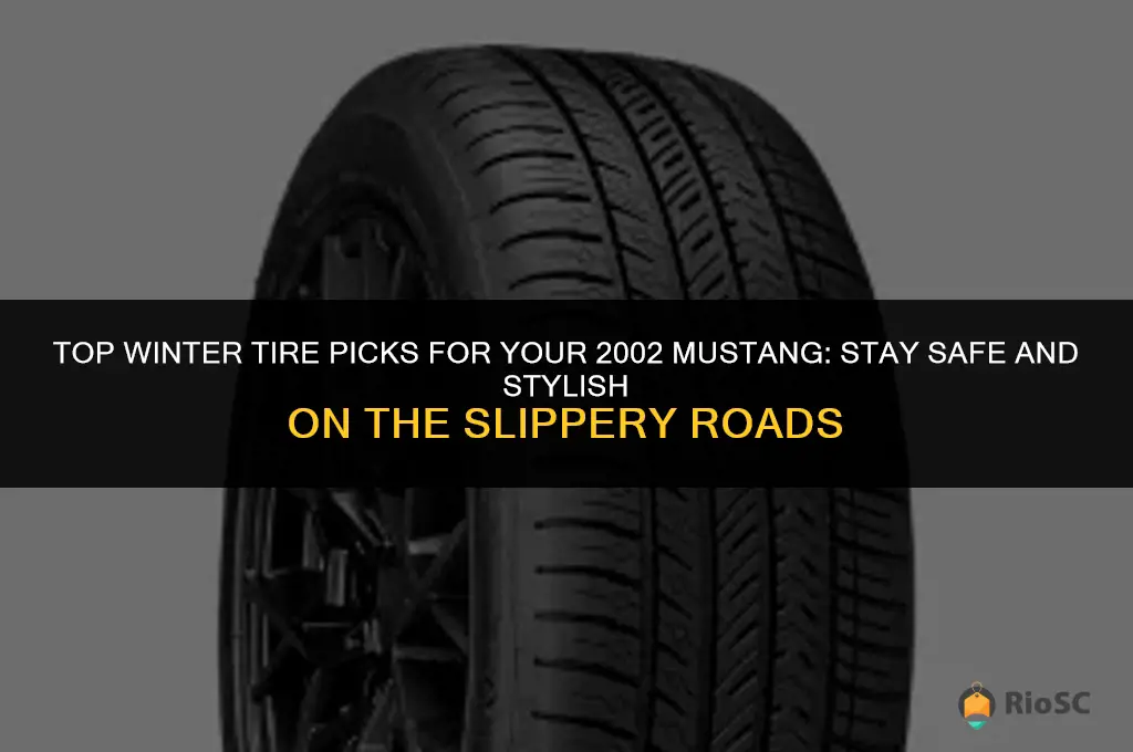 best winter tires for 2002 mustang