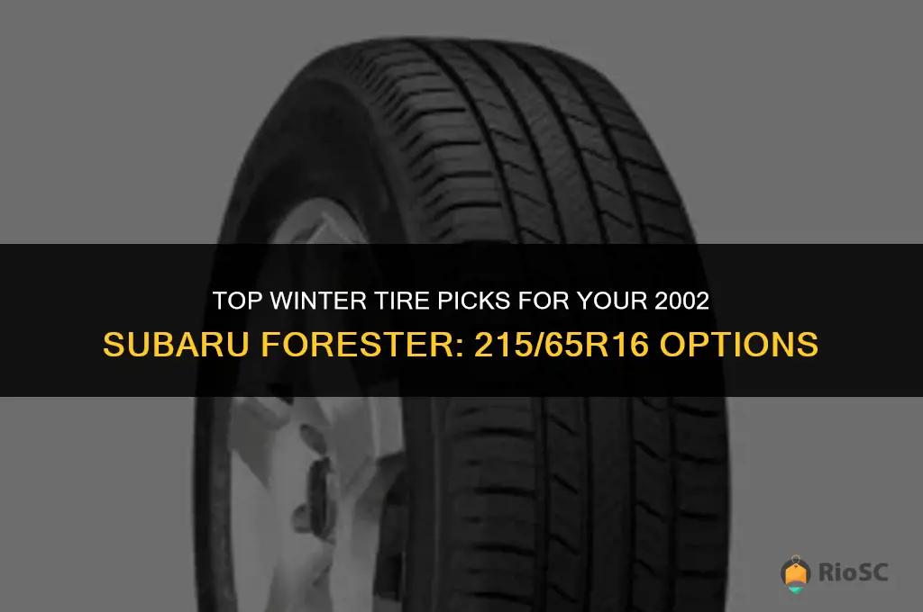 best winter tires for 2002 subaru forester 215 65r16