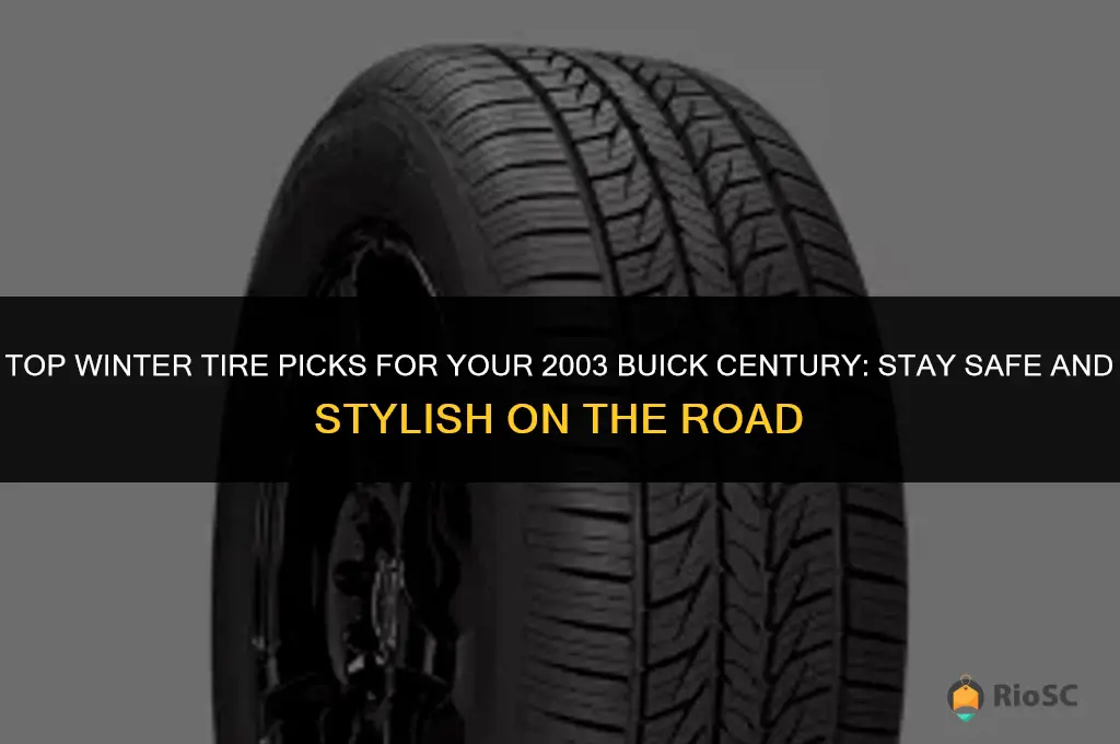 best winter tires for 2003 buick century