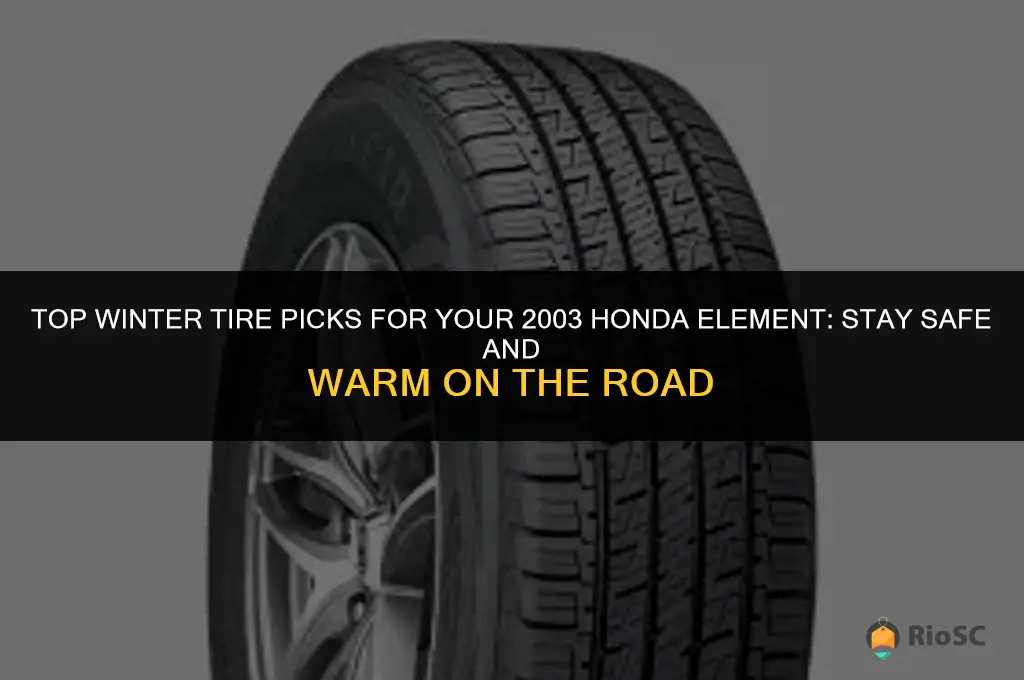 best winter tires for 2003 hond element
