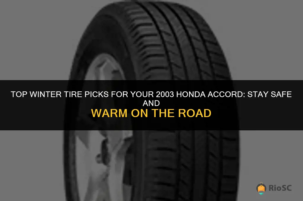 best winter tires for 2003 honda accord