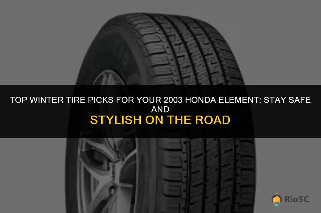 best winter tires for 2003 honda element