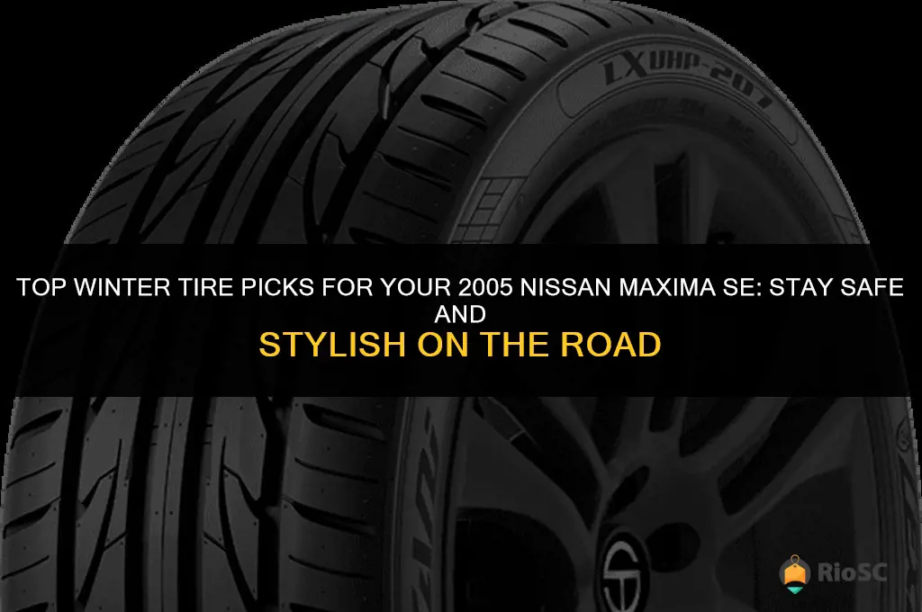 best winter tires for 2005 nissan maxima se