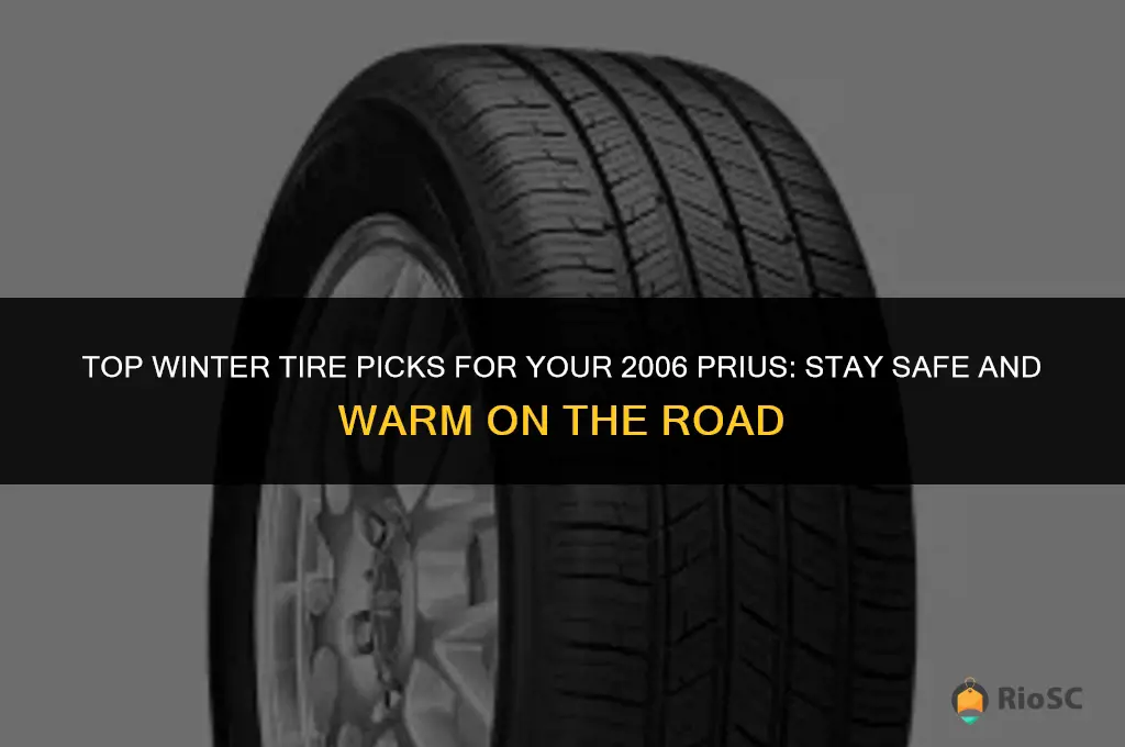 best winter tires for 2006 prius
