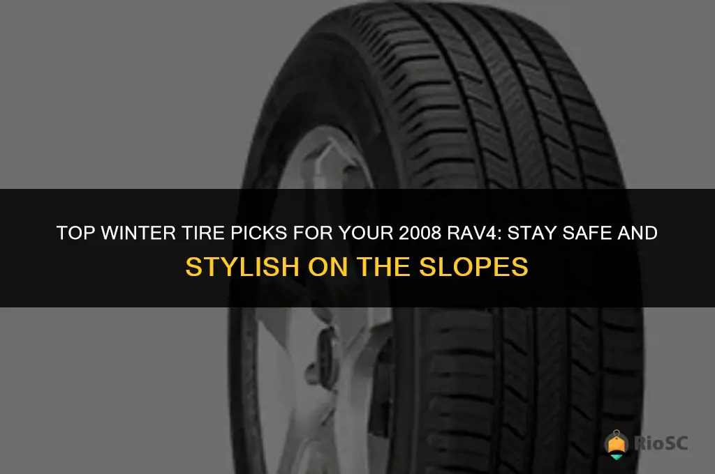 best winter tires for 2008 rav4