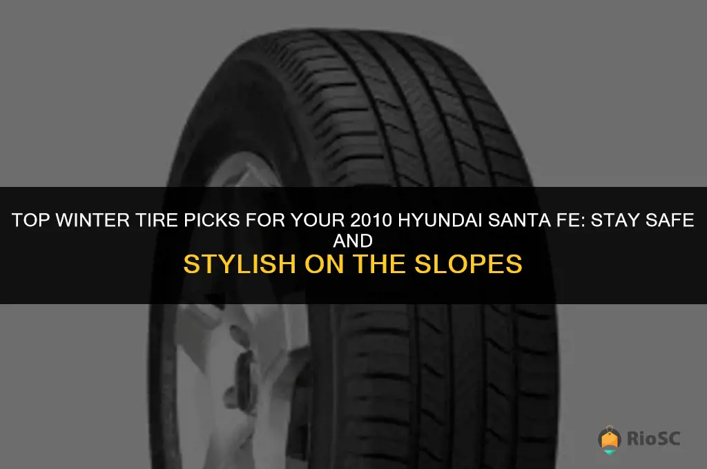 best winter tires for 2010 hyundai santa fe
