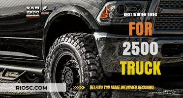 Top Winter Tire Picks for Your 2500 Truck: Stay Safe on Snowy Roads