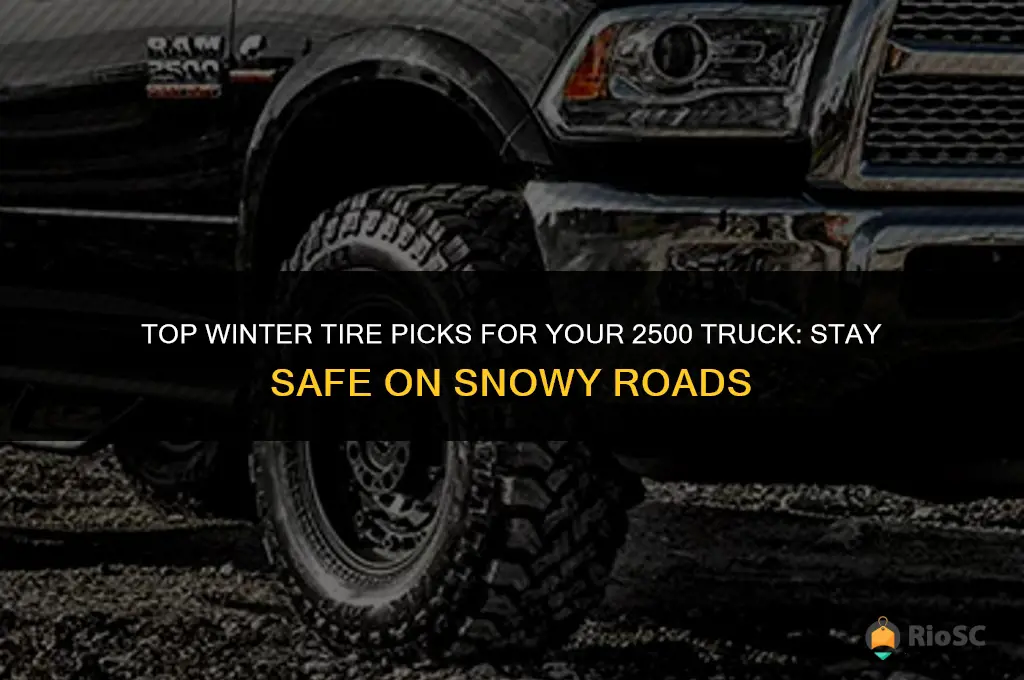 best winter tires for 2500 truck