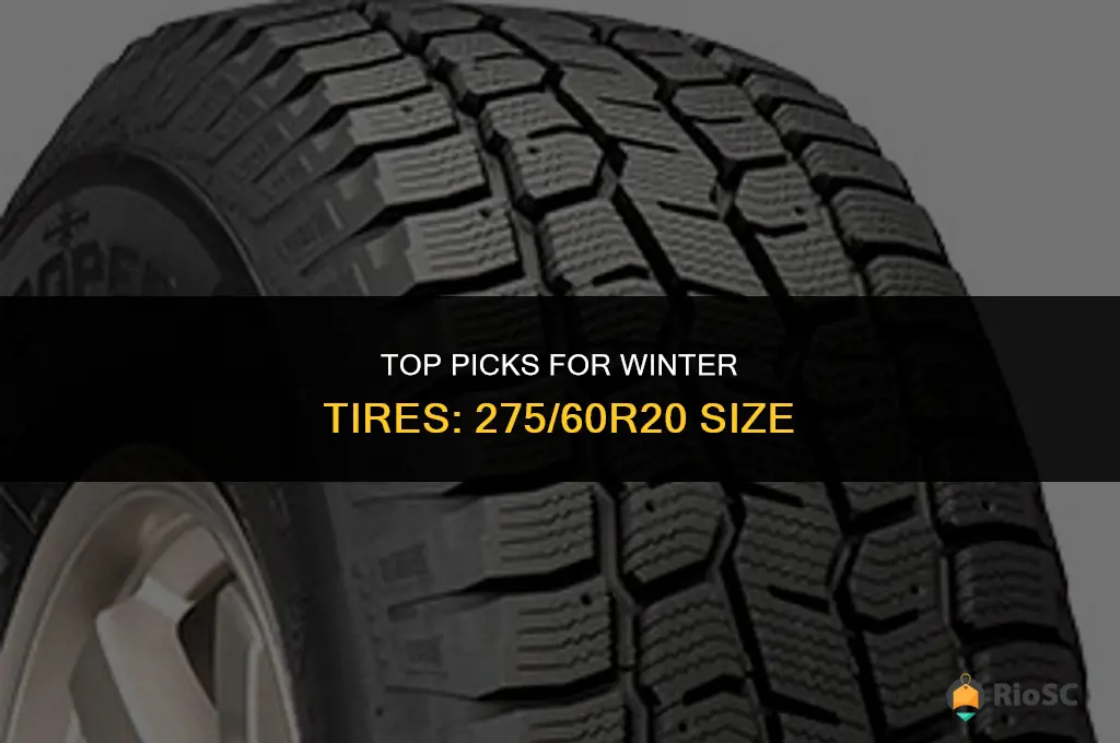best winter tires for 275 60r20