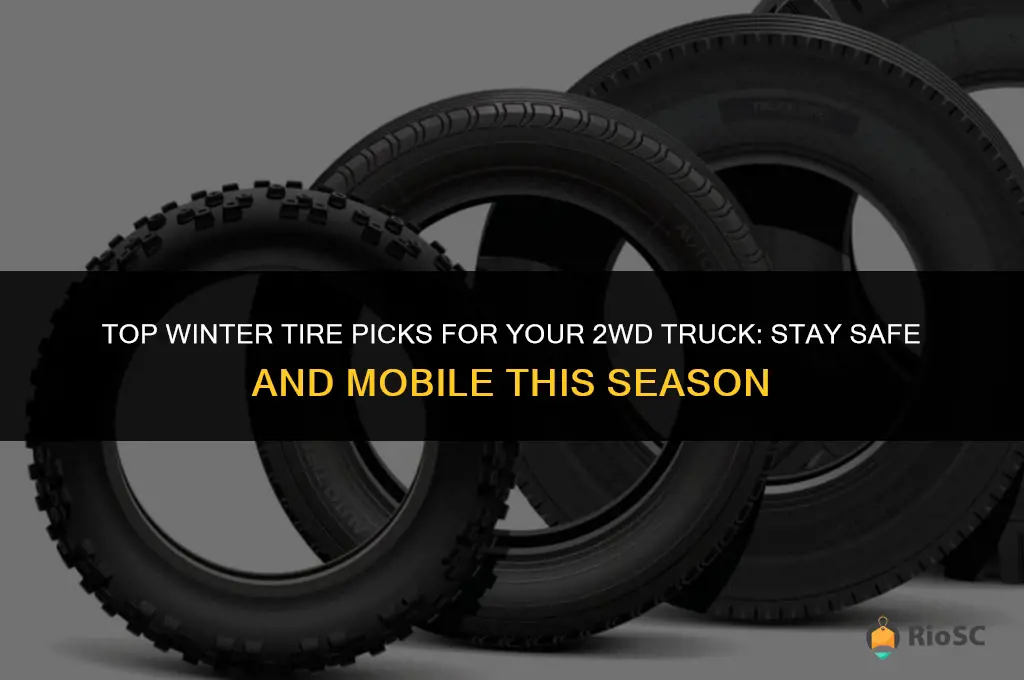 best winter tires for 2wd truck