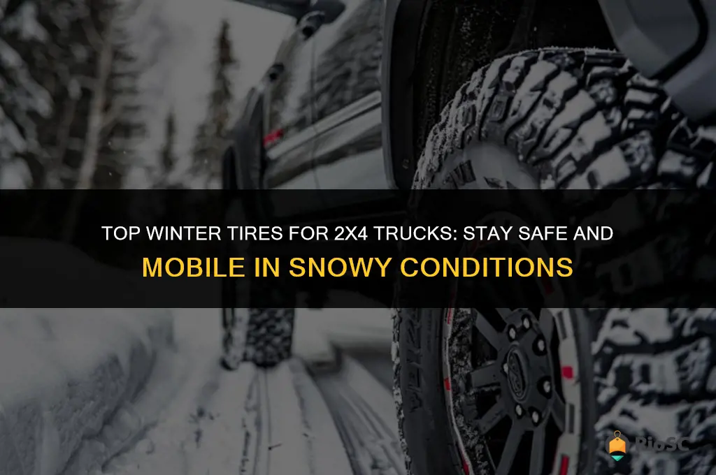 best winter tires for 2x4 truck