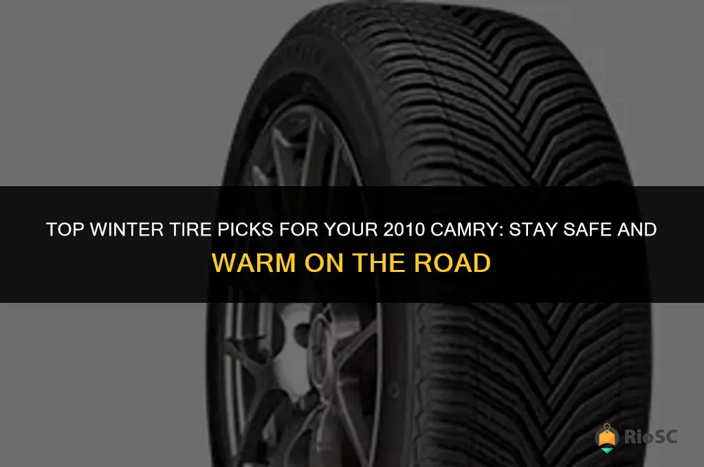 best winter tires for a 2010 camry