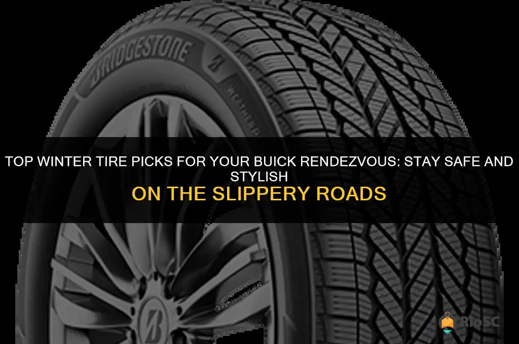 best winter tires for a buick rendezvous