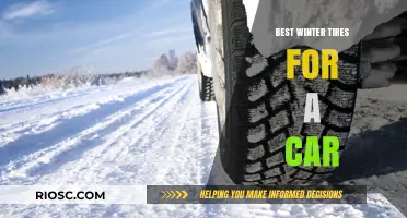 Top Winter Tires for Your Car: Stay Safe and Warm on the Road