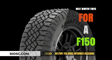 Top Winter Tire Picks for Your Ford F-150: Stay Safe and Mobile in Snowy Conditions