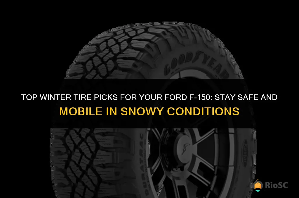 best winter tires for a f150