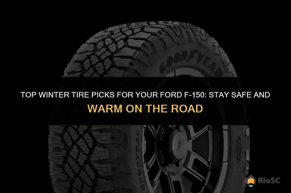 best winter tires for a ford 150