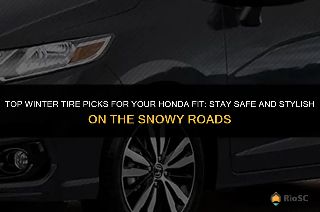 best winter tires for a honda fit