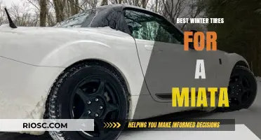 Top Winter Tire Picks for Your Miata: Stay Safe and Stylish on Snowy Roads