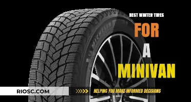 Top Winter Tire Picks for Your Minivan: Stay Safe and Cozy on the Road