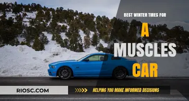 Top Winter Tires for Muscle Cars: Stay Safe and Stylish on Snowy Roads