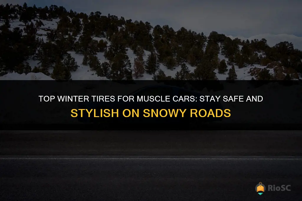 best winter tires for a muscles car