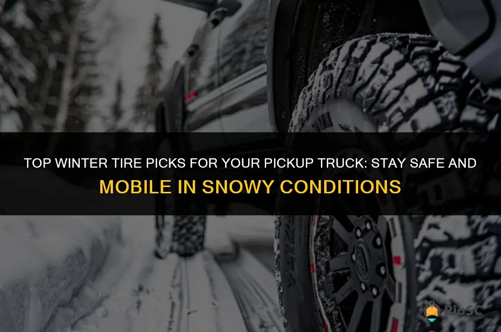 best winter tires for a pickup truck