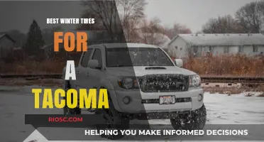 Top Winter Tire Picks for Your Toyota Tacoma: Stay Safe and Stylish on the Slippery Roads