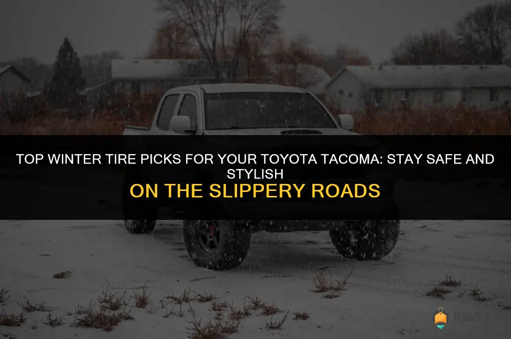 best winter tires for a tacoma