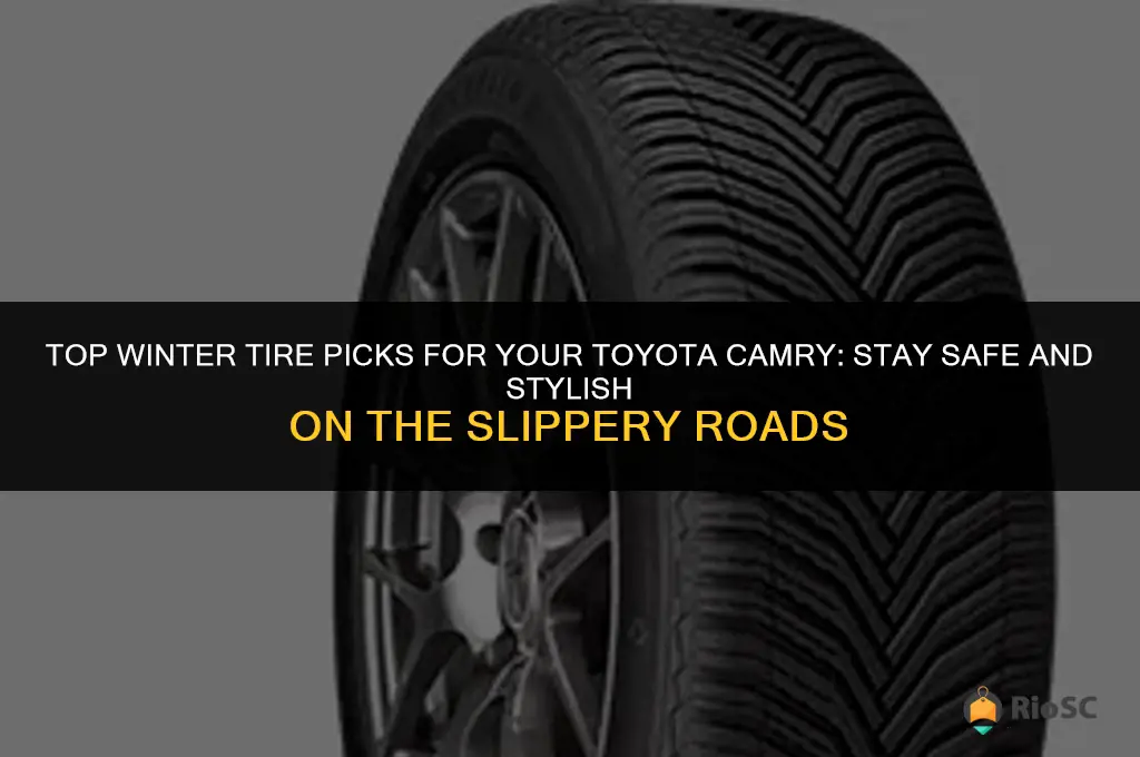 best winter tires for a toyota camry