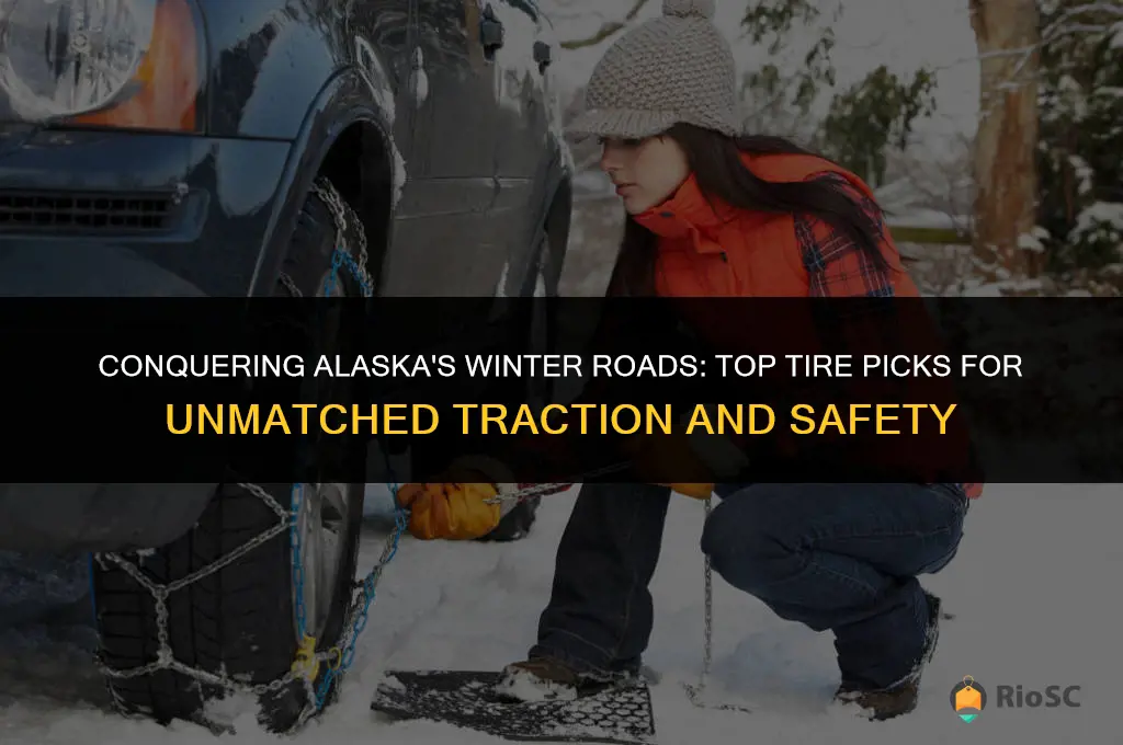 best winter tires for alaska