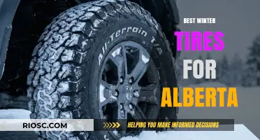 Conquering Alberta's Winter Roads: Top Tire Picks for Unmatched Traction and Safety