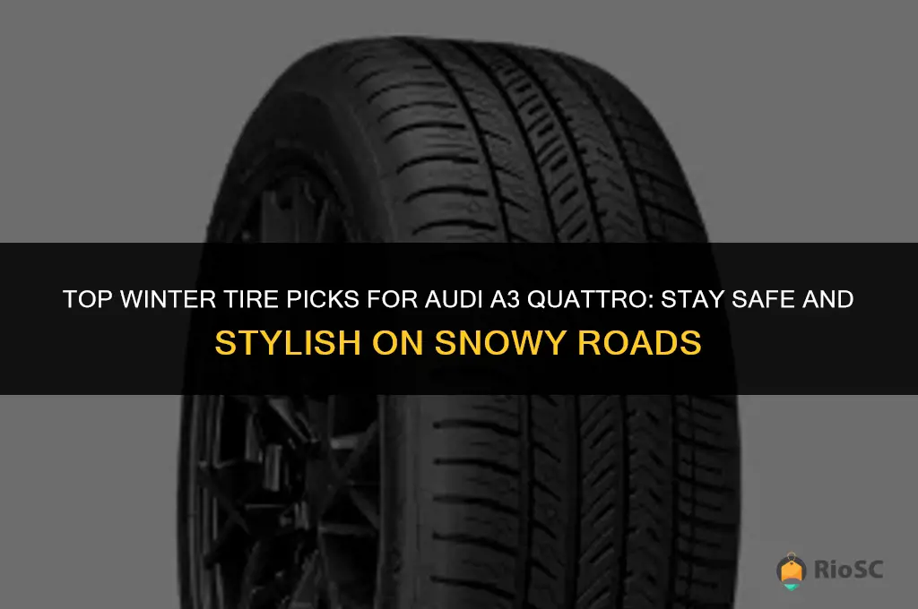 best winter tires for audi a3 quattro