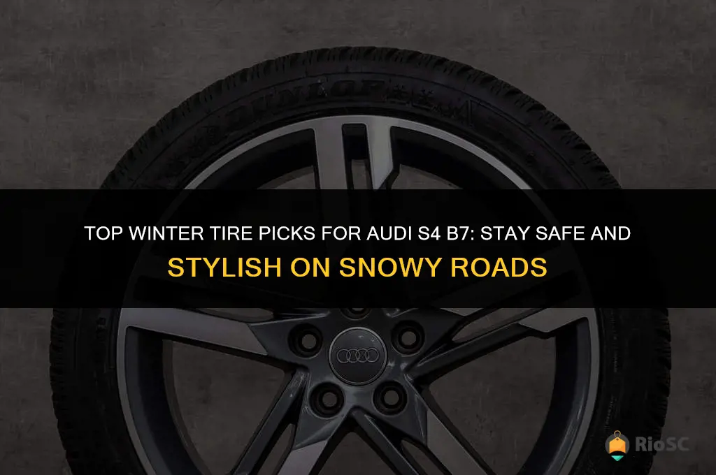 best winter tires for audi s4 b7