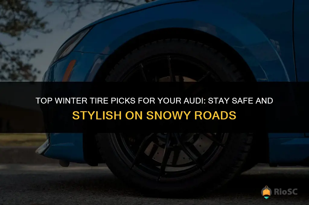 best winter tires for audi