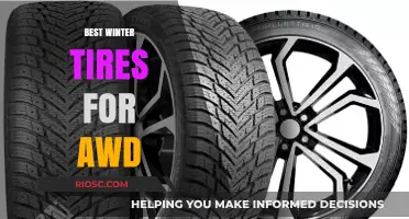Top Winter Tire Picks for AWD Vehicles: Stay Safe and Stylish on Snowy Roads